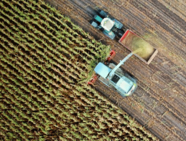 View from above of trucks on farmland