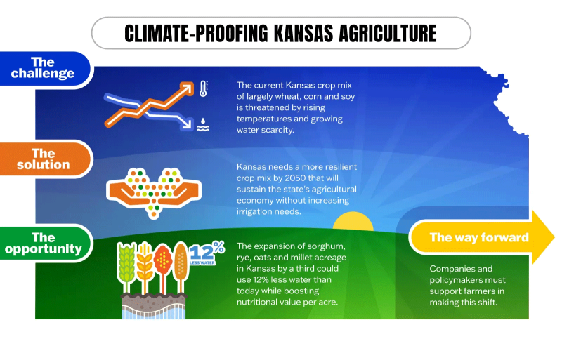 Climate-proofing in Kansas agriculture infographic